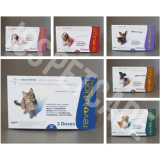 Jual Obat Kutu Tetes Anjing Kucing RevolutionObat Tetes Kutu Kucing