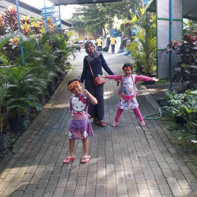 galeh.catur