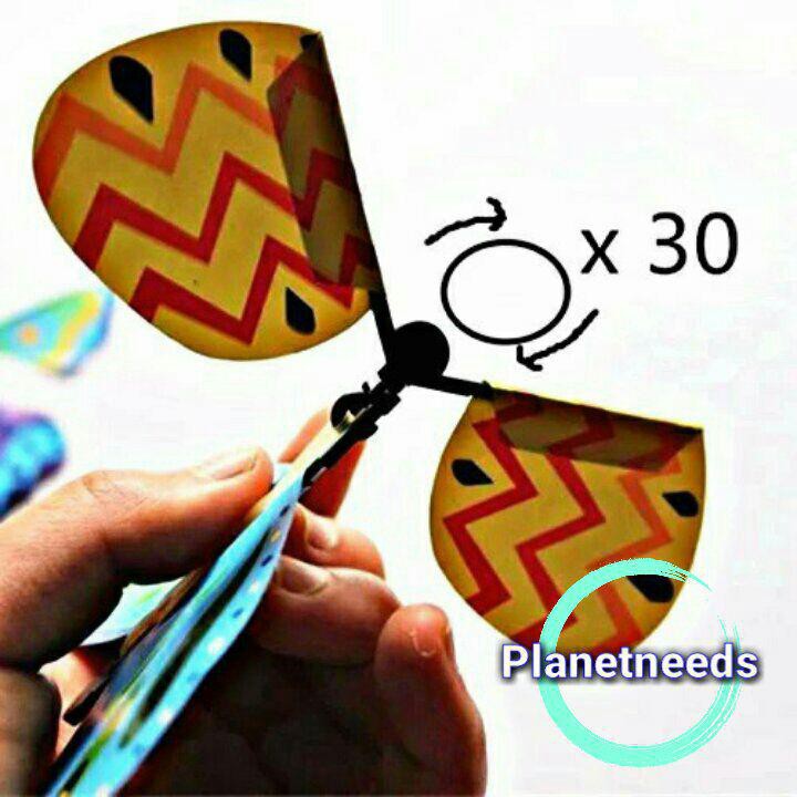 Kupu-Kupu Terbang Ajaib Flying Butterfly Kupu Kupu Terbang