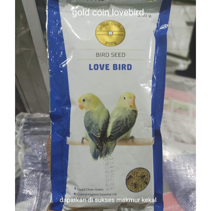 gold coin lovebird