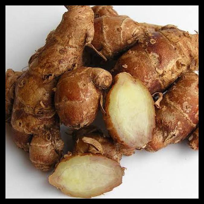 

Kencur Rempah Jamu Beras Kencur Herbal Bumbu Dapur Kemasan 100 Gr