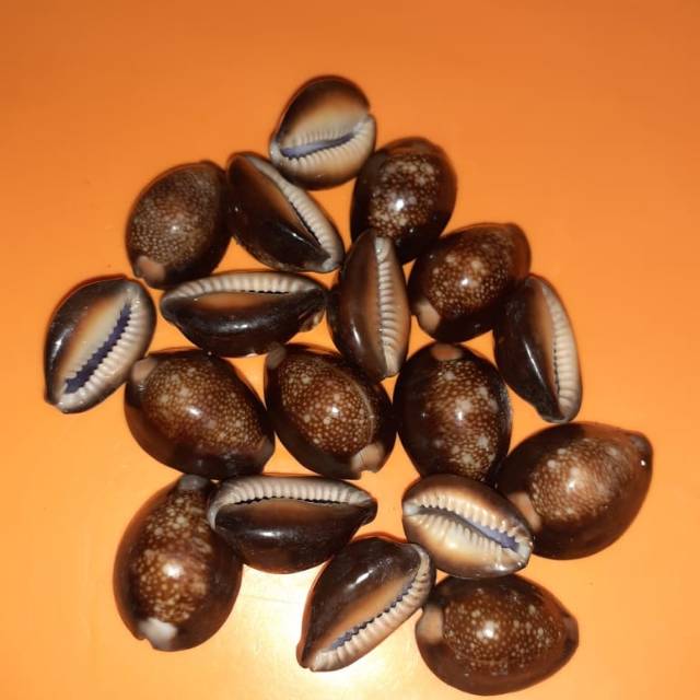 Kuwuk kerang untuk bekel