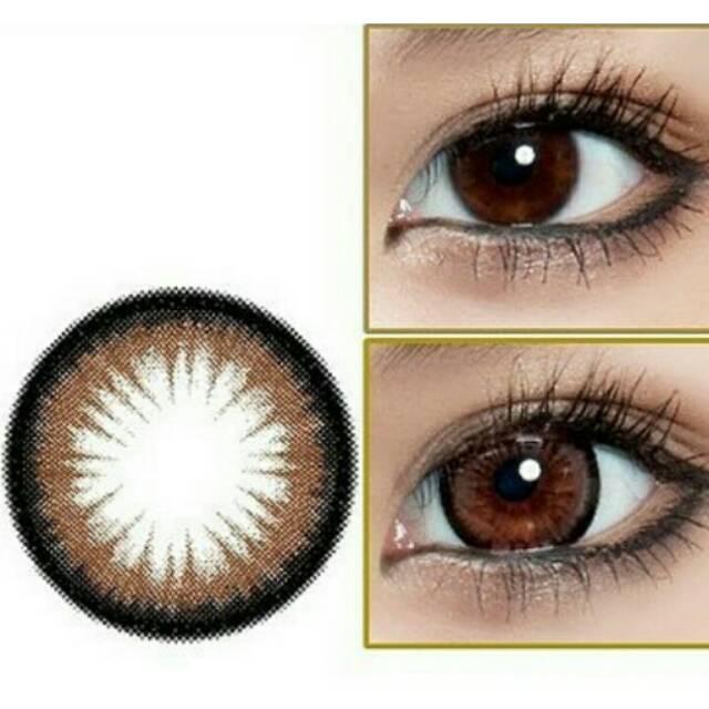 GEL ALMOND BROWN (NORMAL ONLY)