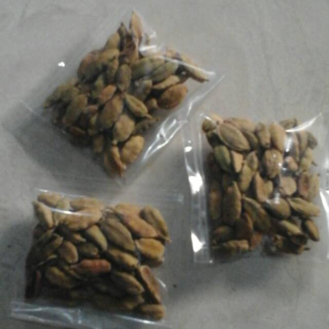 

Kapulaga asli /bumbu masak/rempah