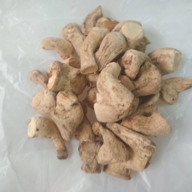 

Kaki jamur 100 gram