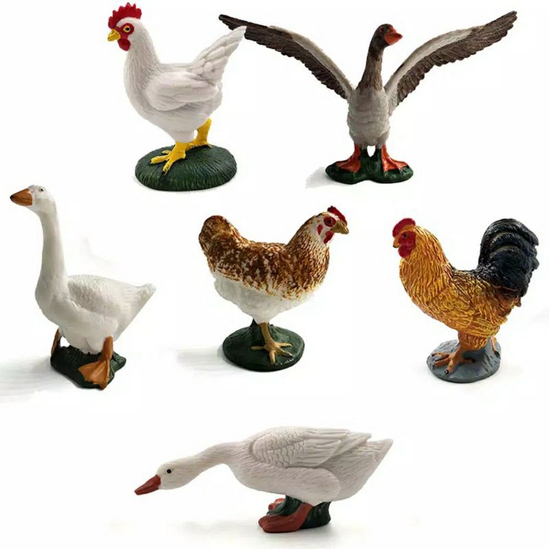 62 Gambar Hewan Ternak Unggas Gratis Terbaik