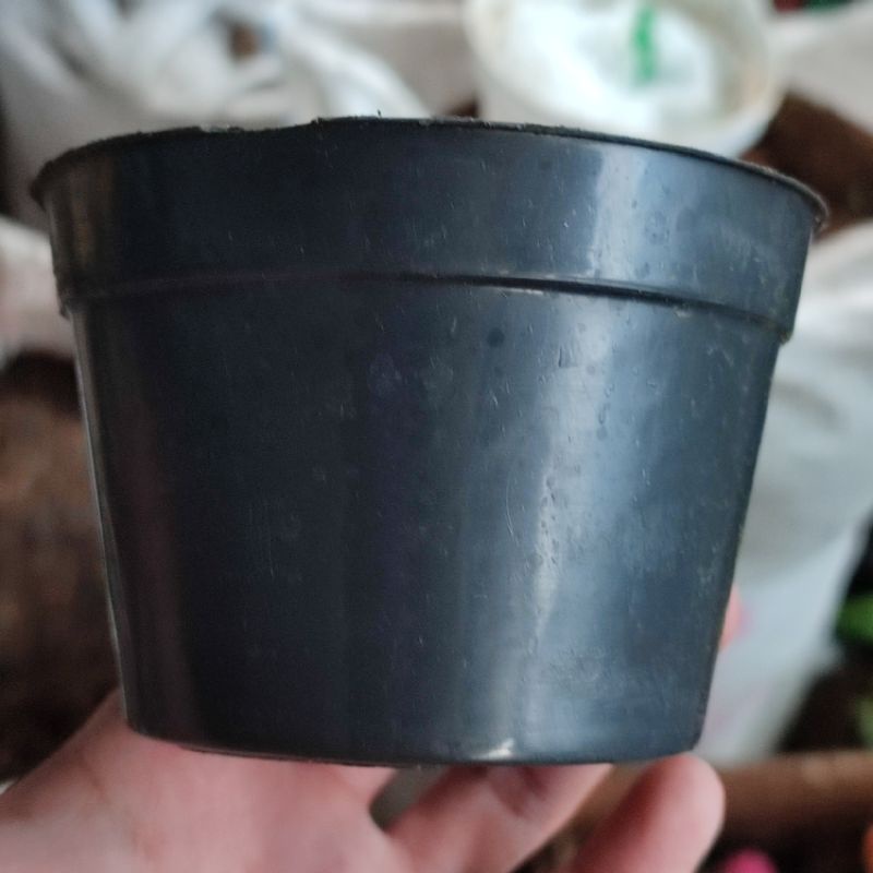 Pot 17cm bekas