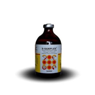 Sanbe Farma / B Sanplex - Injeksi Vit B Kompleks - 100 ml