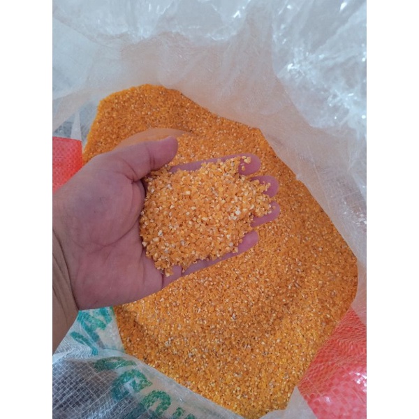 

BERAS JAGUNG / JAGUNG BERAS PAKAN UNGGAS