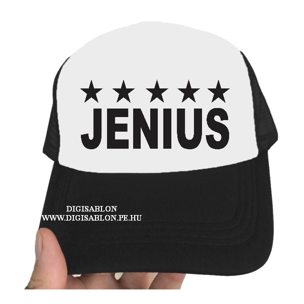Topi jenius bintang 5