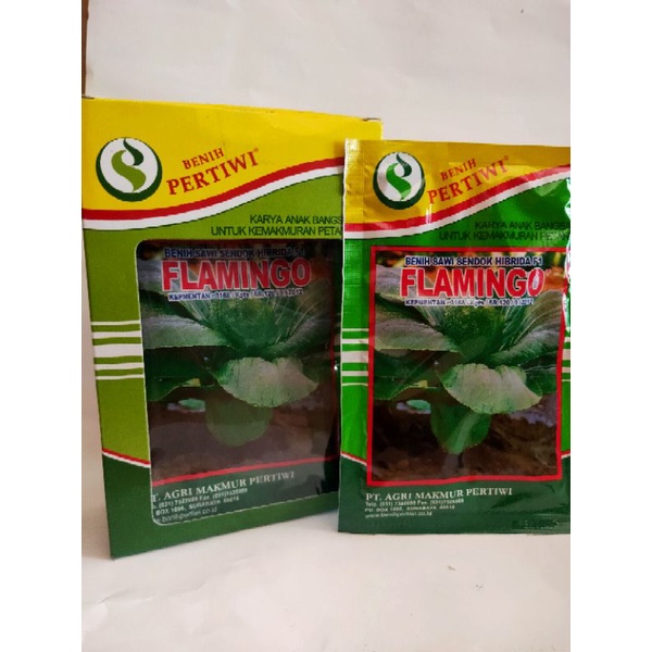 Benih Pakcoy Hibrida FLAMINGO 50gram