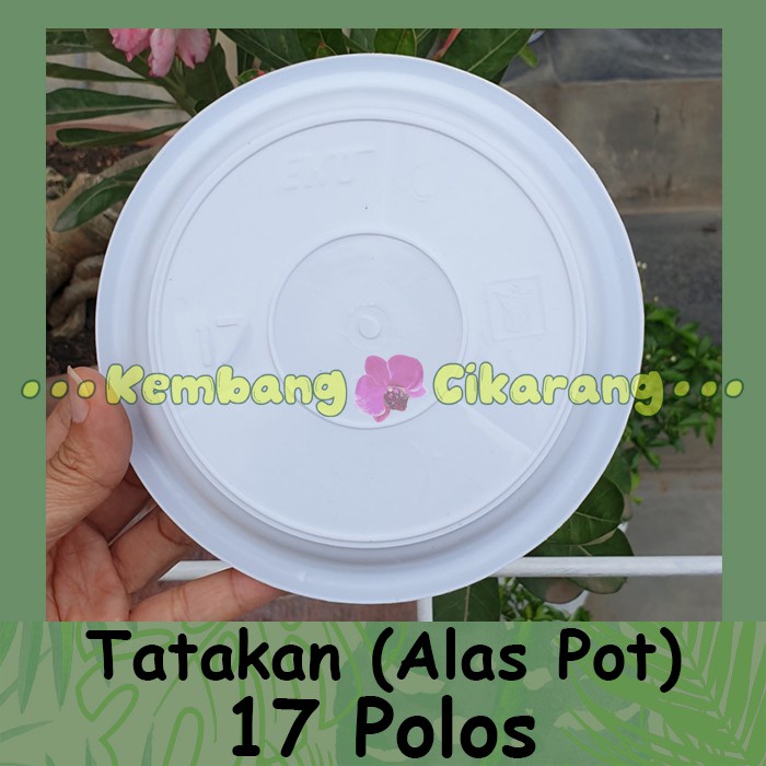 TATAKAN POLOS 17 alas pot bunga cantik murah grosir taktakan pot