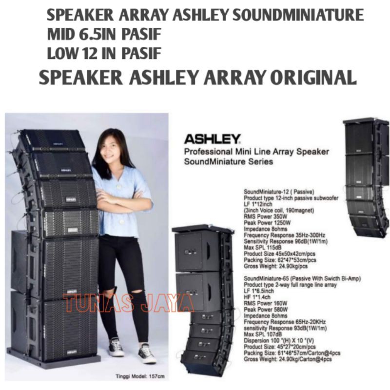 PAKET PROFESSIONAL MINI LINE ARRAY SPEAKER ASHLEY SOUNDMINIATURE SERIES