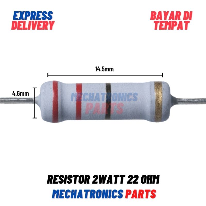 [PAS-9227] RESISTOR 2WATT 22OHM