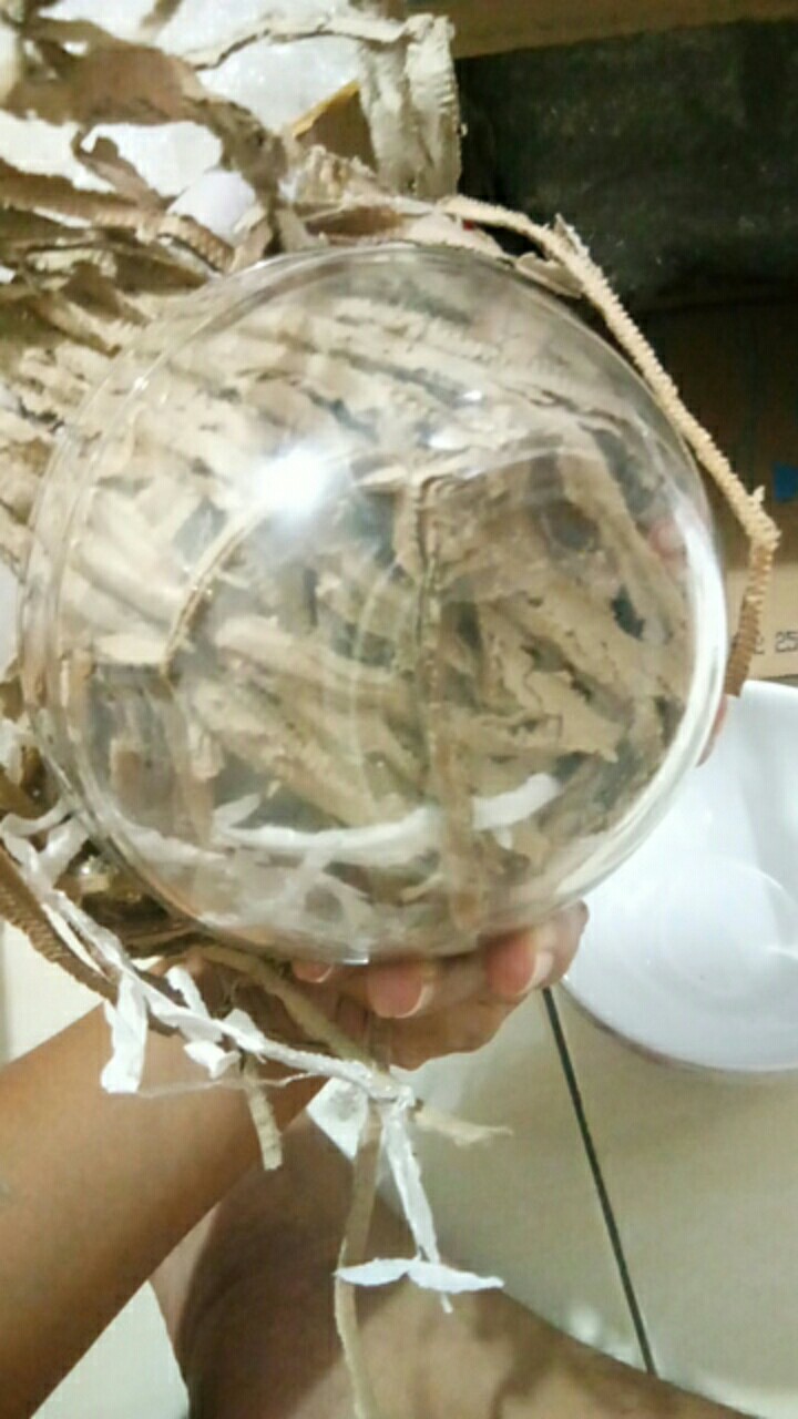 1 Pc Mangkok Saji Kaca Bening Polos Ukuran 5,5 Inch