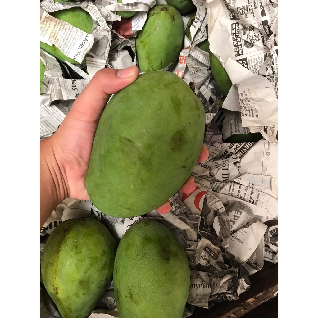 

MANGGA HARUM MANIS SUPER PREMIUM! PROMO HARI INI!