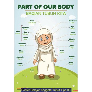 Poster Belajar Anggota Tubuh & Kegiatan 2 | Shopee Indonesia
