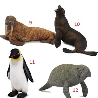 800+ Gambar Binatang Anjing Laut Gratis Terbaik