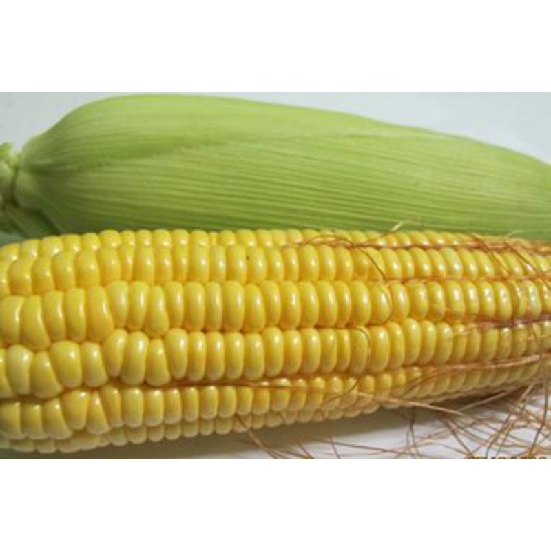 

Jagung Manis Kupas