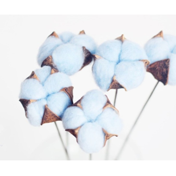 Cotton Flower Bunga Kapas Asli Single Stem Dekorasi Hiasan Bunga Artificial per tangkai-BIRU