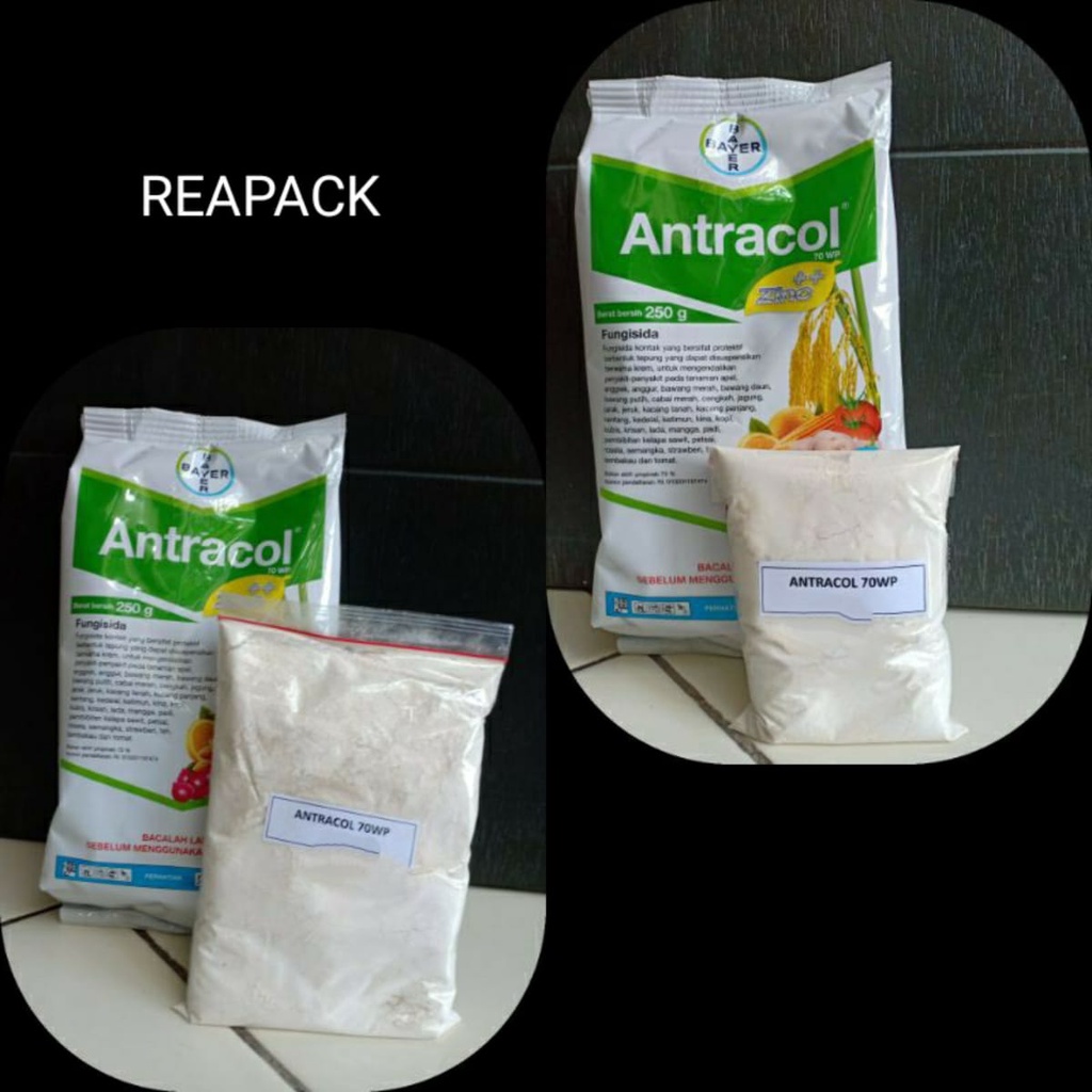 Jual Produk Repack Original Asli Dari Pabrik Fungisida Bayer ANTRACOL ...