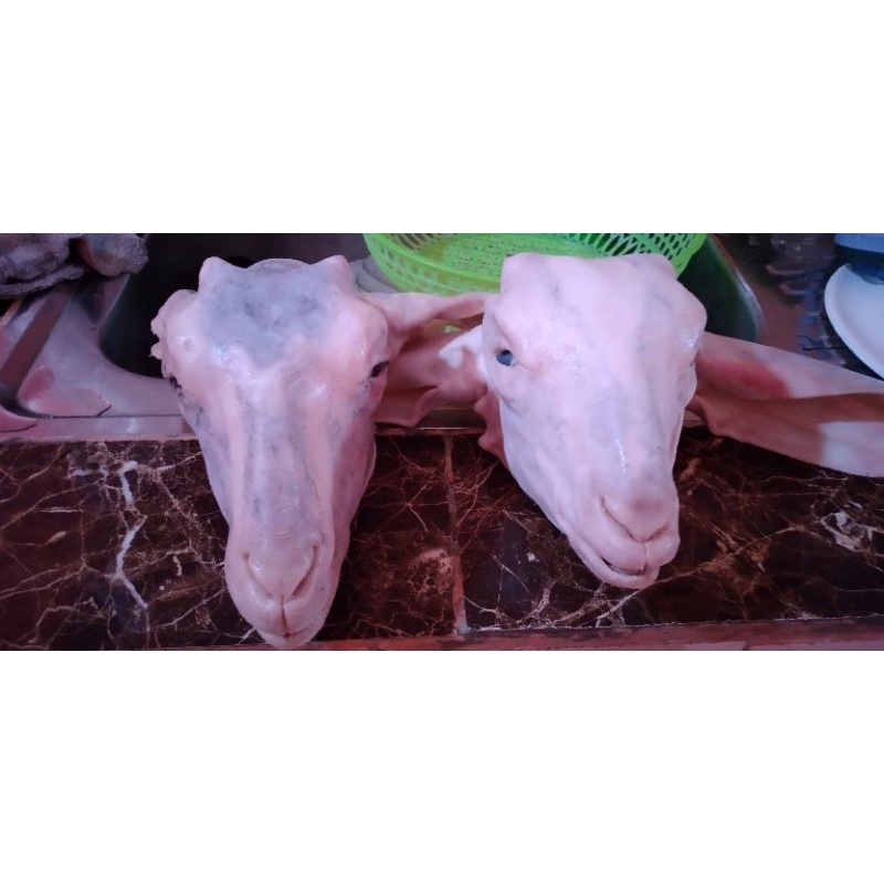 kepala+kaki kambing segar