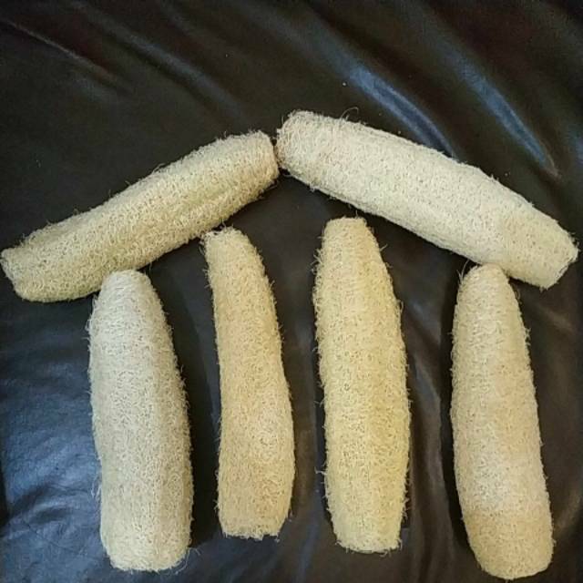 Loofah oyong kering grade A
