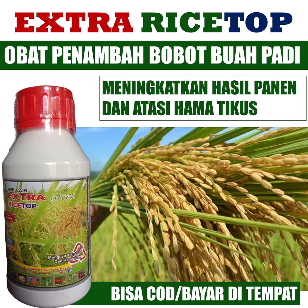 Jual Rekomended Obat Penambah Bobot Padi Extra Ricetop Booster Padi Besar Buah Dan Berat