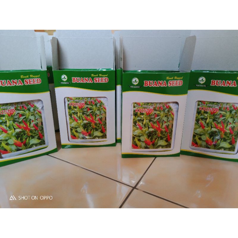 

cabe rawit krisna