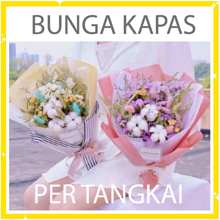 Hiasan Bunga Cotton Flower Bunga Kapas Asli Single Stem Dekorasi Artificial per tangkai