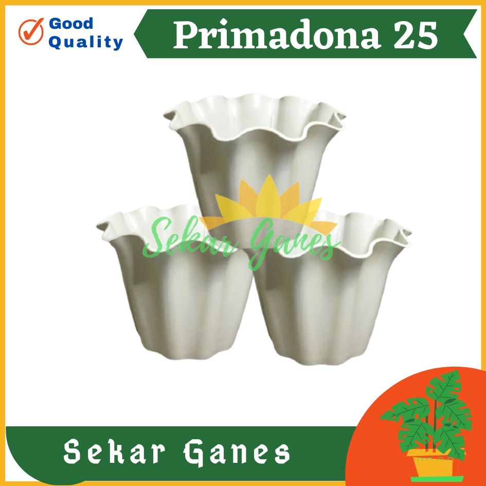 Pot Shallom Primadona 25