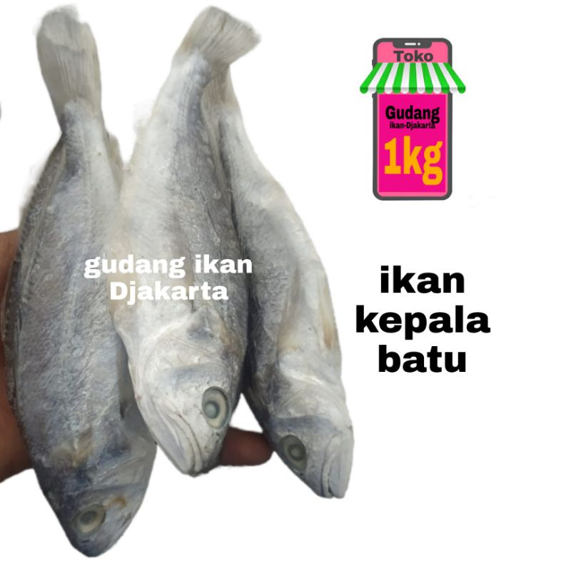 

ikan asin kepala batu netto-1kg