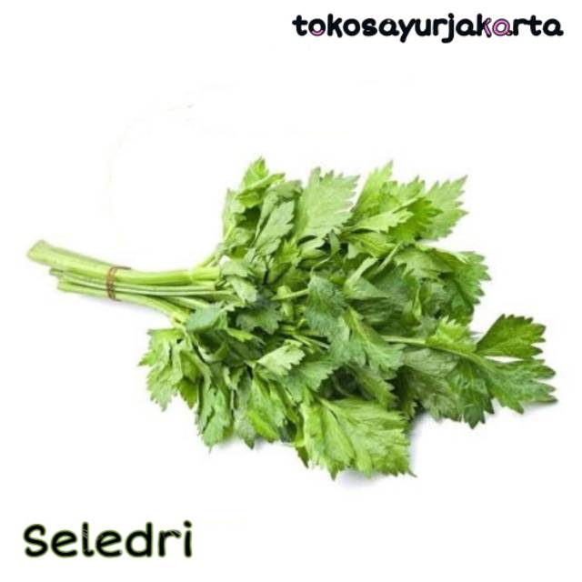 

Daun Seledri