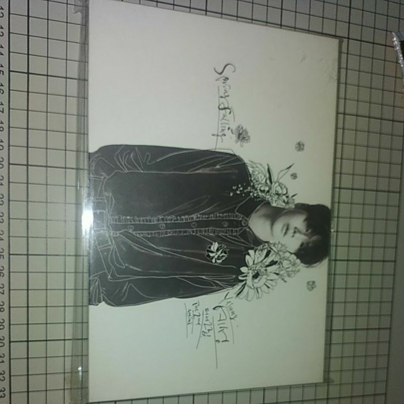 * booked *Yesung spring falling