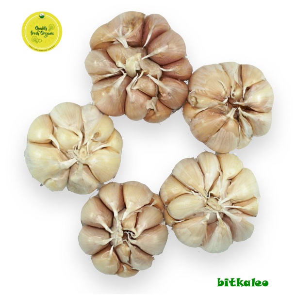 

Bawang Putih Organik 500 gr