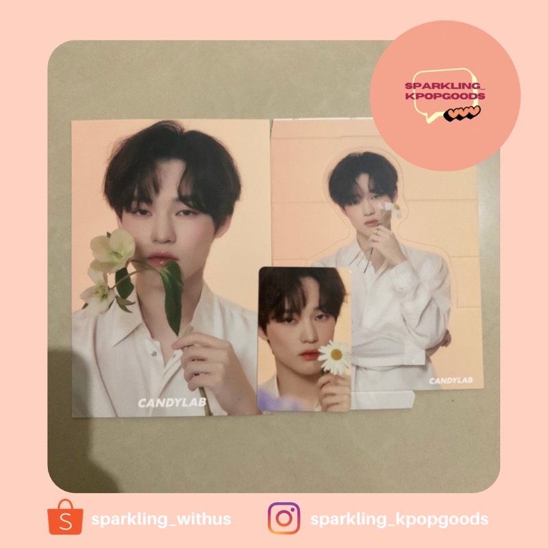 READY STOCK Sharing CANDYLAB x NCT DREAM Full Bloom Collection