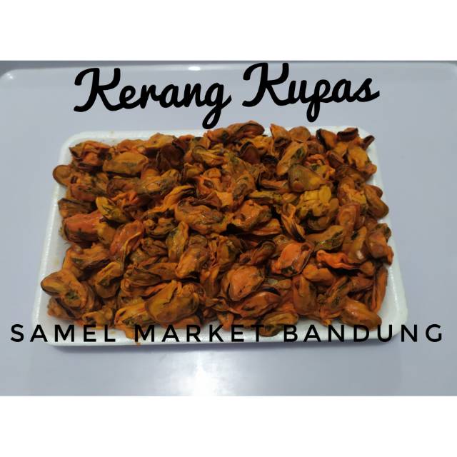 

Kerang kupas Segar