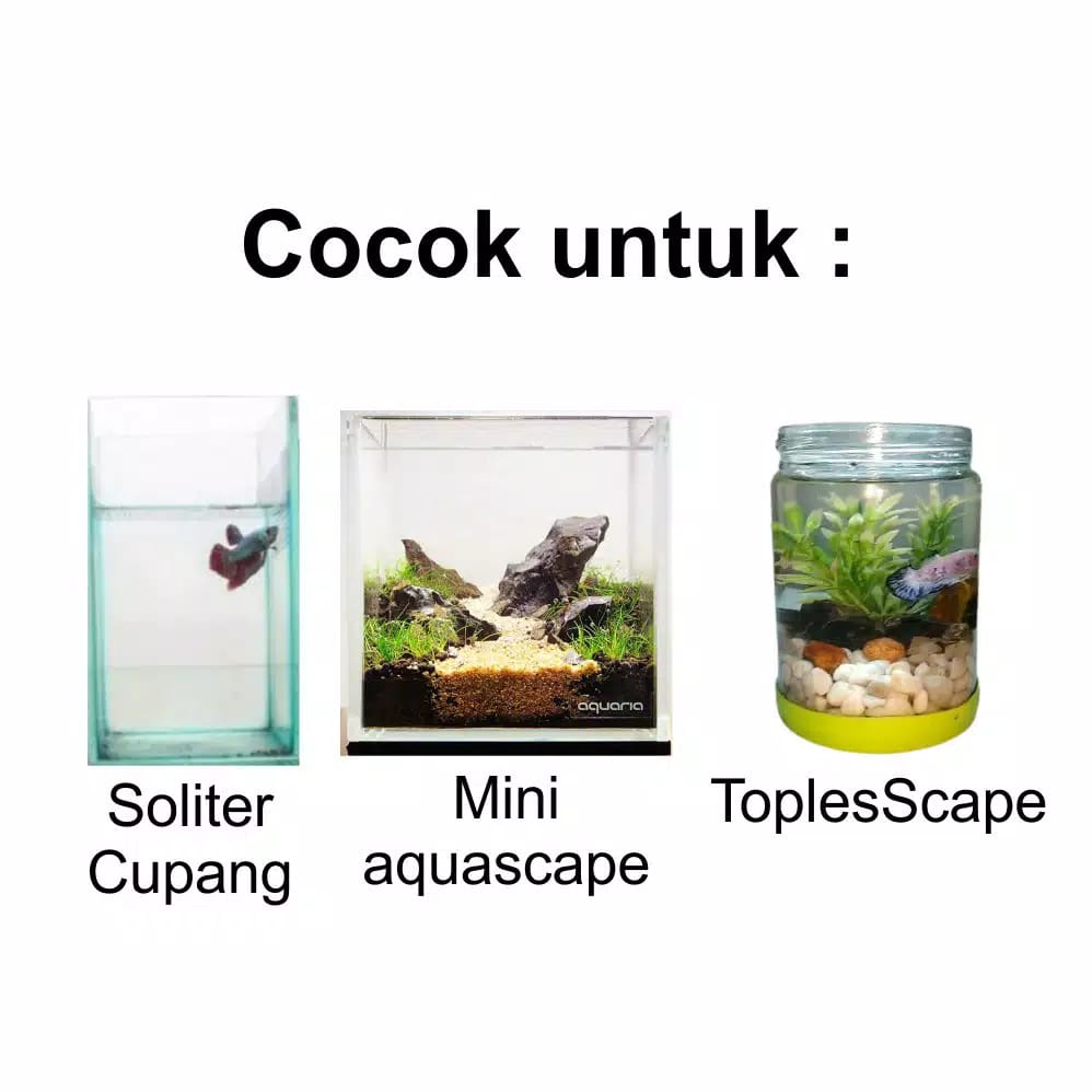 Lampu cupang / set lampu hias soliter / aquarium mini / aquascape mini led Paket lengkap 1 set