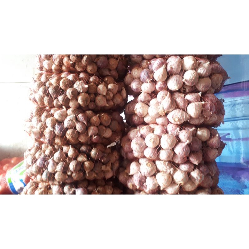 

bawang putih tunggal/ Lanang import super dari gudang langsung {fresh}