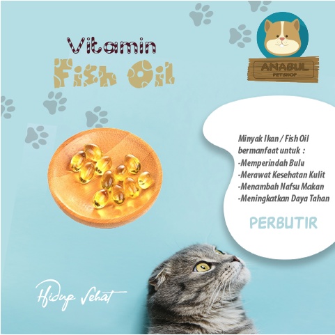 MINYAK IKAN FISH OIL Vitamin Mempercantik Bulu Kucing Anjing