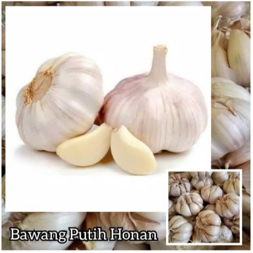 

Bawang Putih Honan 250gr -03