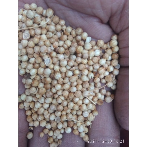 

ketumbar putih super 100gr