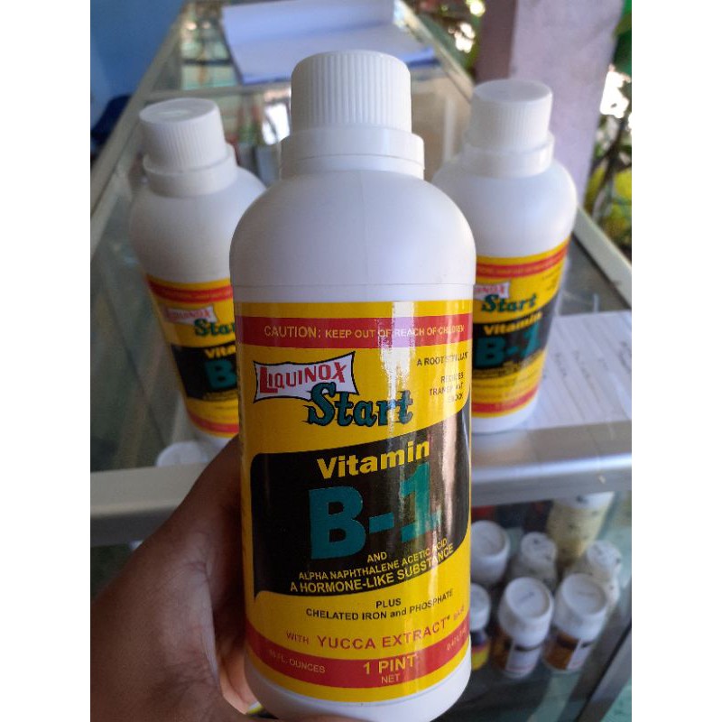 Jual Vitamin B1 500 Ml | Shopee Indonesia