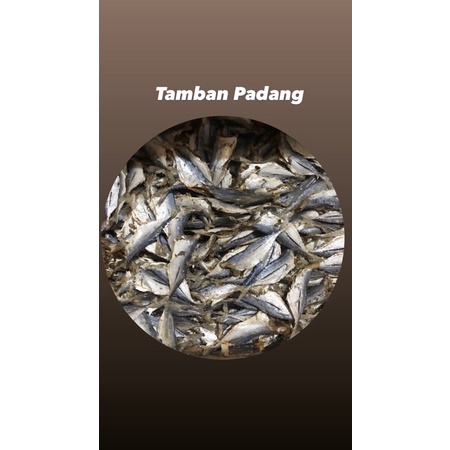 

ikan kering tamban padang
