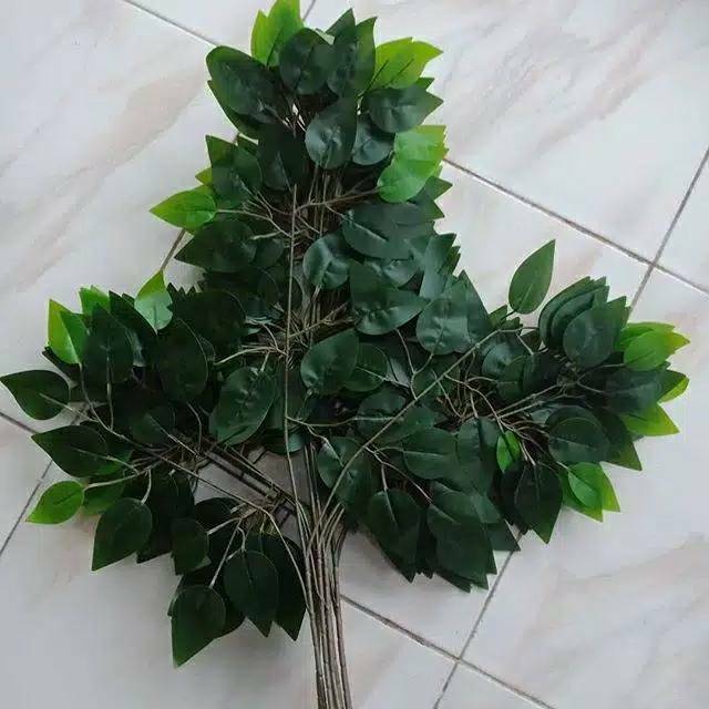 (SJT) DAUN HIAS BERINGIN PLASTIK