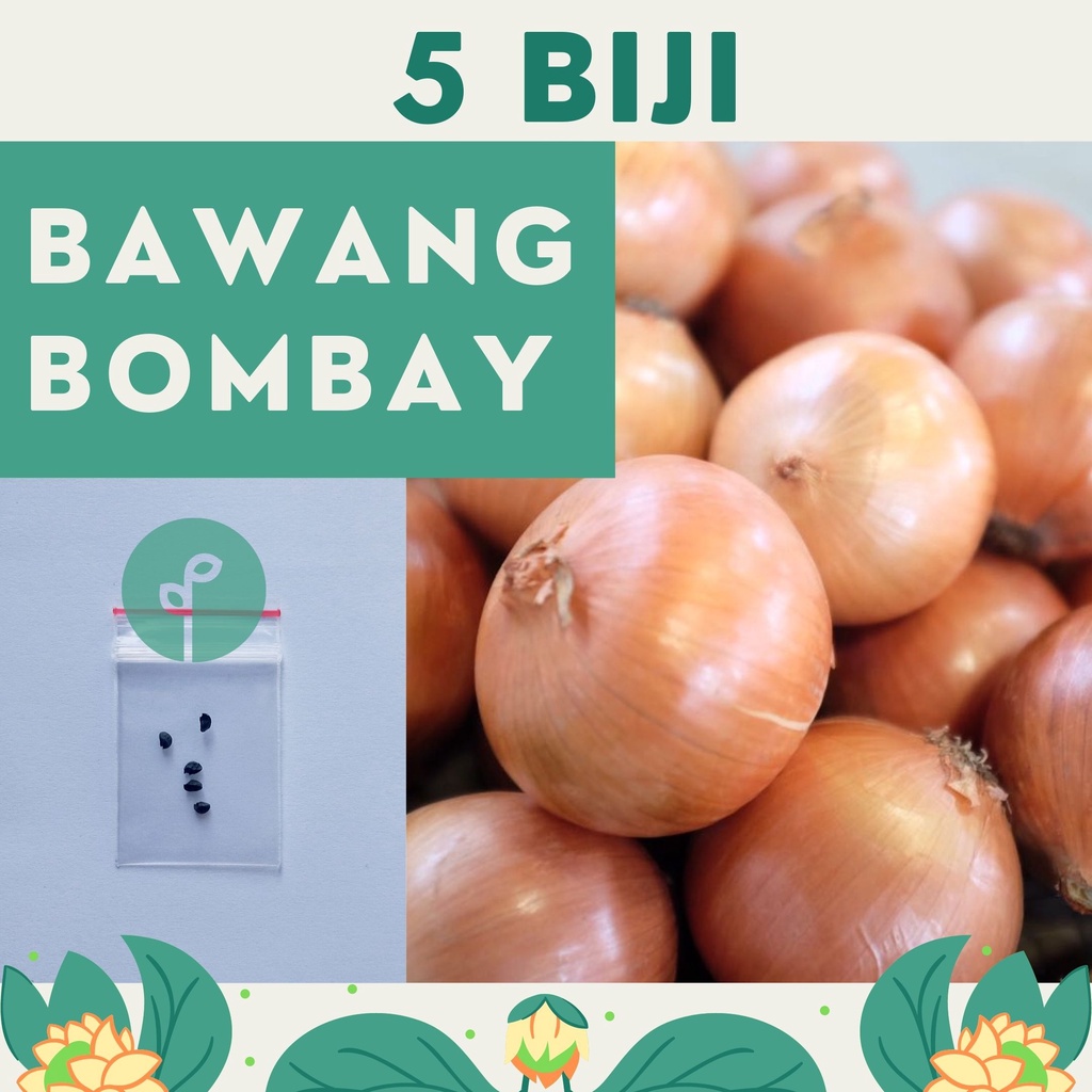 Bibit Sayuran Benih Sayur Paket Lengkap Hidroponik Kangkung Bayam Cabe Sawi Selada Terong Tomat dll-BAWANG BOMBAY