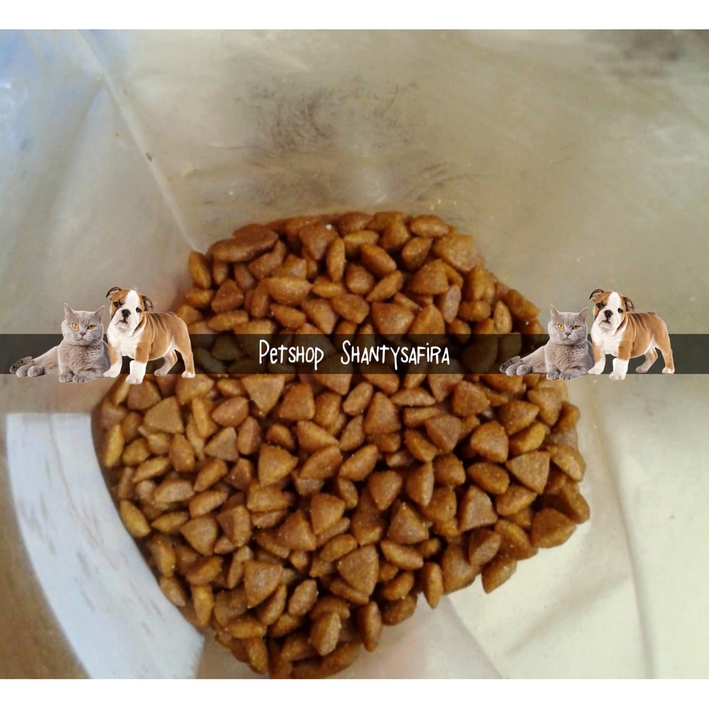 MAKANAN KUCING EQUILIBRIO KITTEN INDOOR KEMASAN REAL 500 GR DAN 1 KG