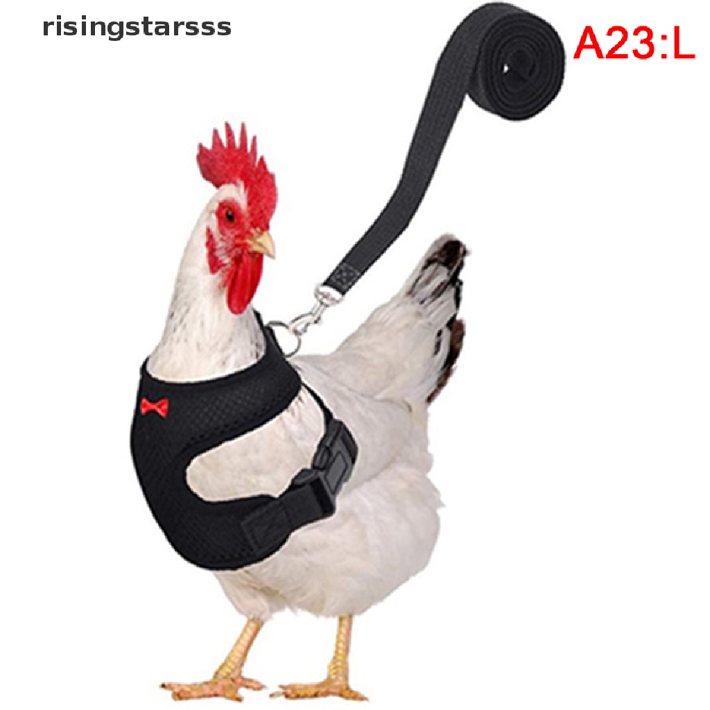 Rsid Rompi Harness Aksen Pita Untuk Ayam Betina