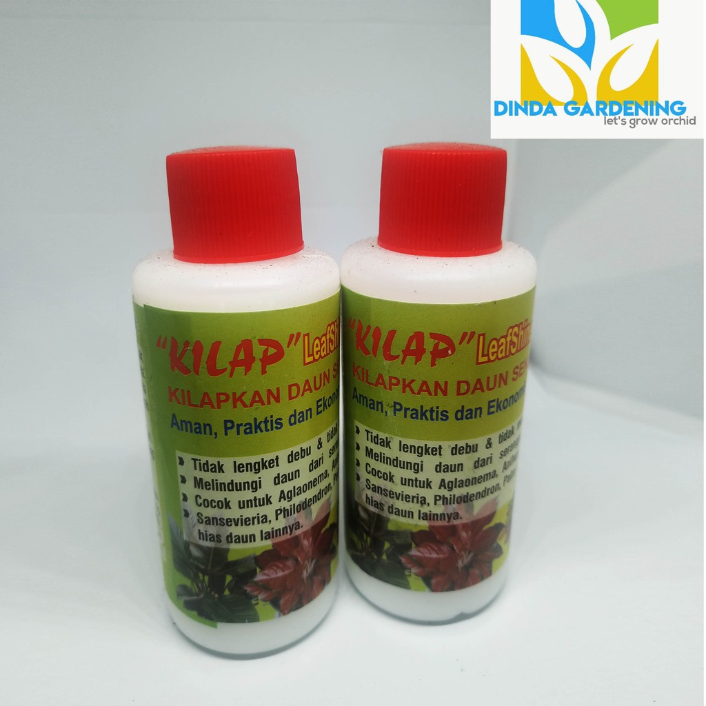 Pengkilap Daun  KILAP - Leaf Shine - Kilap Daun