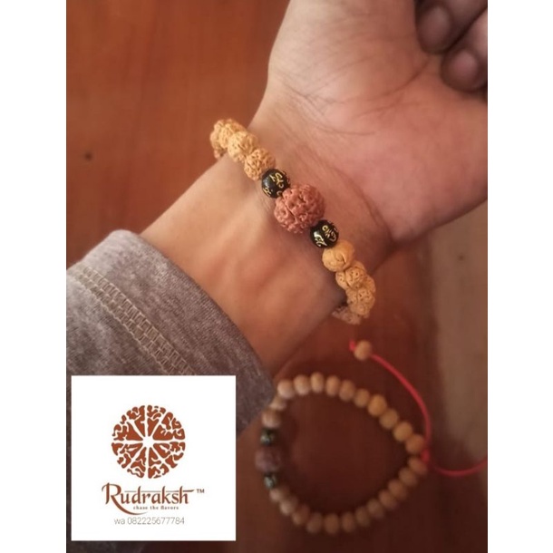 Gelang jenitri asli 8mm mukhi 5
